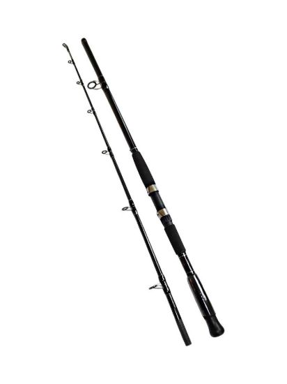 Изображение Спиннинг Kaida CatFish 2.1м 300-800г