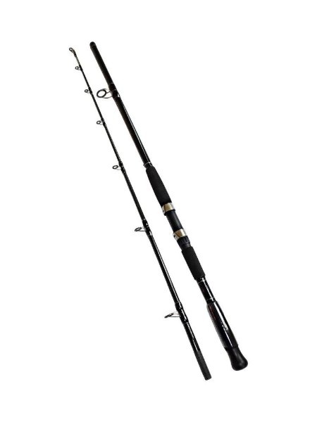 Изображение Спиннинг Kaida CatFish 2.1м 300-800г