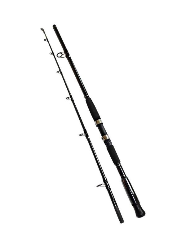 Изображение Спиннинг Kaida CatFish 2.1м 300-800г