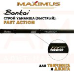 Изображение Спиннинг Maximus Bankai 2.2м 7-25г