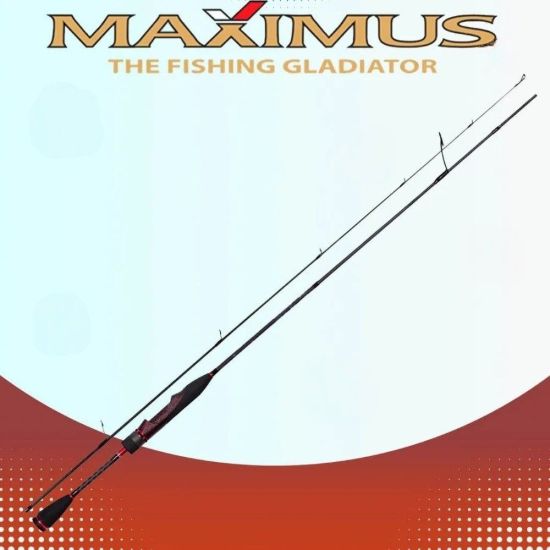 Изображение Спиннинг Maximus High Energy-Z 2.4м 5-20г