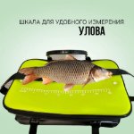 Изображение Кан ЕВА Салатовый
